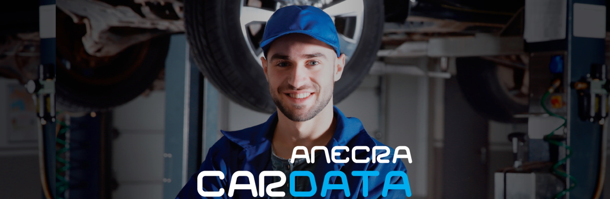 CarData